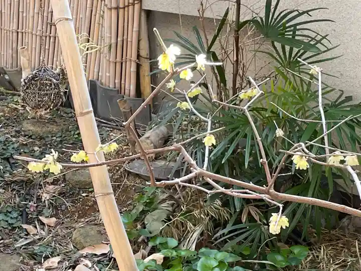 遠照山 光明寺(尼崎大仏)(兵庫県)