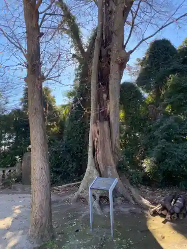 大生郷天満宮(茨城県)