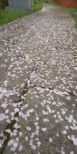 稗田野神社(薭田野神社)(京都府)