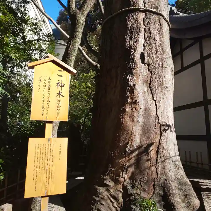 川越氷川神社の自然