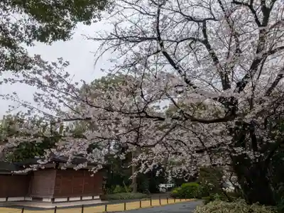 阿佐ヶ谷神明宮(東京都)