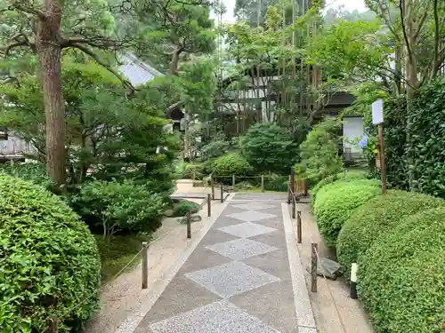 明月院の庭園