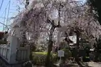 白蛇辨財天(栃木県)