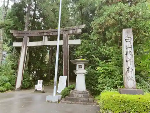 白山比咩神社の鳥居