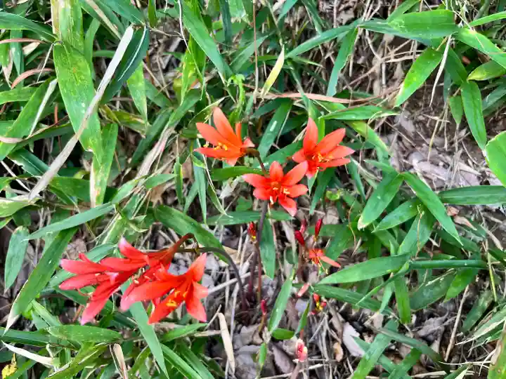 大宮温泉神社(栃木県)