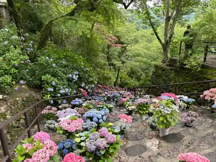 長谷寺(奈良県)