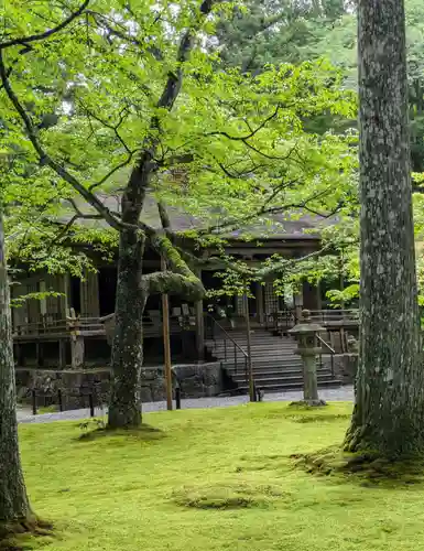 三千院門跡(京都府)