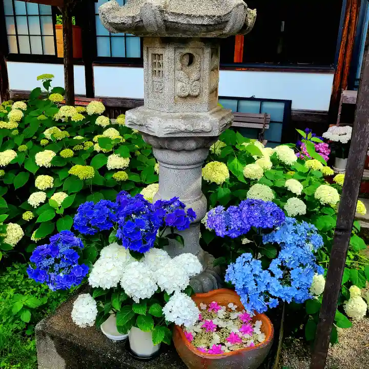 極楽寺(静岡県)