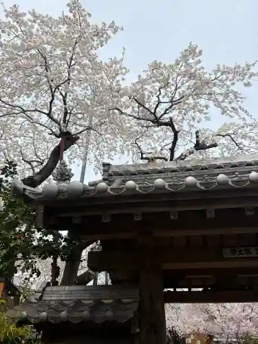 源空院（浅井寺）の{uncategorized: "未分類", other: "その他", undefined: "問題あり", building: "その他建物", grave: "お墓", sacred_gate: "鳥居", guardian: "狛犬", statue: "像", buddha: "仏像", history: "歴史", nature: "自然", garden: "庭園", animal: "動物", pagoda: "塔", temizu: "手水舎", mountain_gate: "山門・神門", sanctuary: "本殿・本堂", subordinate: "末社・摂社", art: "芸術", scenery: "景色", jizo: "地蔵", ema: "絵馬", goshuin: "御朱印", omikuji: "おみくじ", items: "授与品その他", amulet: "お守り", goshuincho: "御朱印帳", eats: "食事", festival: "お祭り", votive_dance: "神楽", shichigosan: "七五三参", wedding: "結婚式", experience: "体験その他", initially: "初詣", around: "周辺", anti_infection: "感染症対策"}