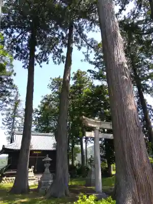 白山神社の{uncategorized: "未分類", other: "その他", undefined: "問題あり", building: "その他建物", grave: "お墓", sacred_gate: "鳥居", guardian: "狛犬", statue: "像", buddha: "仏像", history: "歴史", nature: "自然", garden: "庭園", animal: "動物", pagoda: "塔", temizu: "手水舎", mountain_gate: "山門・神門", sanctuary: "本殿・本堂", subordinate: "末社・摂社", art: "芸術", scenery: "景色", jizo: "地蔵", ema: "絵馬", goshuin: "御朱印", omikuji: "おみくじ", items: "授与品その他", amulet: "お守り", goshuincho: "御朱印帳", eats: "食事", festival: "お祭り", votive_dance: "神楽", shichigosan: "七五三参", wedding: "結婚式", experience: "体験その他", initially: "初詣", around: "周辺", anti_infection: "感染症対策"}