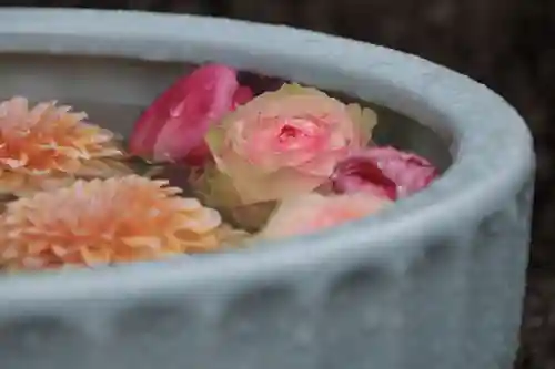 開成山大神宮の手水舎