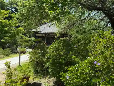 了仙寺(静岡県)