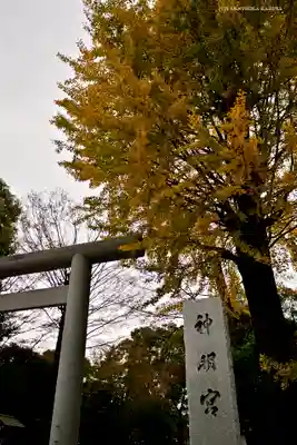 阿佐ヶ谷神明宮のその他建物