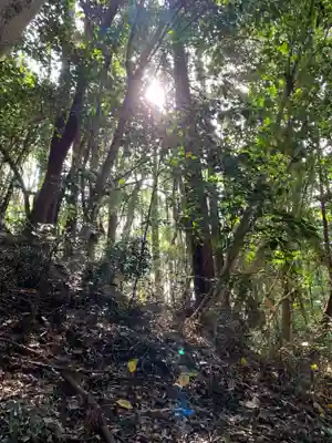 月夜見神社の自然