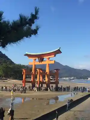 厳島神社の鳥居