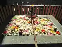 高円寺氷川神社(東京都)