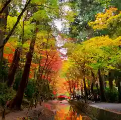 小國神社(静岡県)