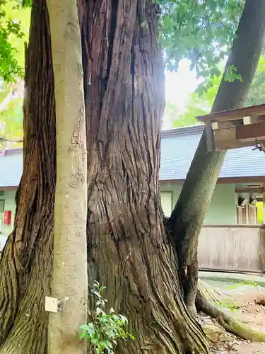 鴨鳥五所神社(茨城県)