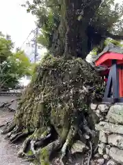 大将軍神社(滋賀県)