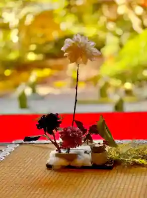 光明寺（粟生光明寺）の{uncategorized: "未分類", other: "その他", undefined: "問題あり", building: "その他建物", grave: "お墓", sacred_gate: "鳥居", guardian: "狛犬", statue: "像", buddha: "仏像", history: "歴史", nature: "自然", garden: "庭園", animal: "動物", pagoda: "塔", temizu: "手水舎", mountain_gate: "山門・神門", sanctuary: "本殿・本堂", subordinate: "末社・摂社", art: "芸術", scenery: "景色", jizo: "地蔵", ema: "絵馬", goshuin: "御朱印", omikuji: "おみくじ", items: "授与品その他", amulet: "お守り", goshuincho: "御朱印帳", eats: "食事", festival: "お祭り", votive_dance: "神楽", shichigosan: "七五三参", wedding: "結婚式", experience: "体験その他", initially: "初詣", around: "周辺", anti_infection: "感染症対策"}