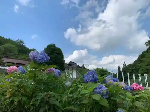 済渡寺の景色