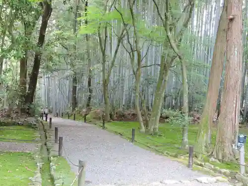 地蔵院(京都府)