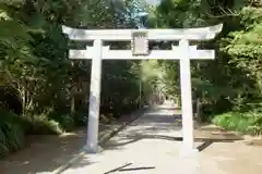 江田神社の鳥居