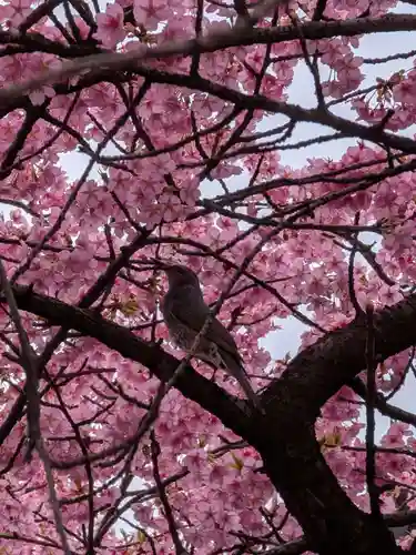 新宿下落合氷川神社(東京都)