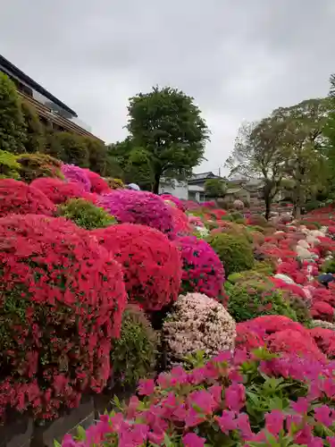 根津神社の庭園