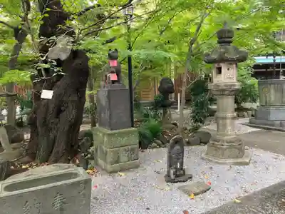 澤蔵司稲荷（慈眼院）(東京都)