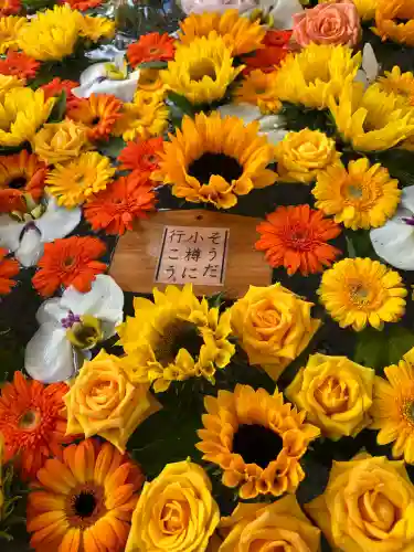 住吉神社の手水舎