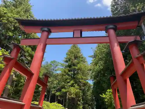 北口本宮冨士浅間神社の鳥居