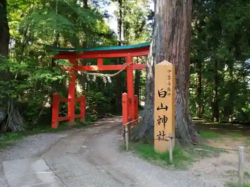 白山神社の鳥居