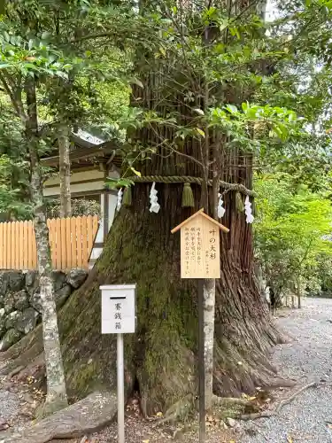 丹生川上神社（中社）(奈良県)