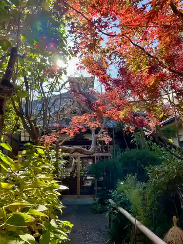 宗周院(東京都)
