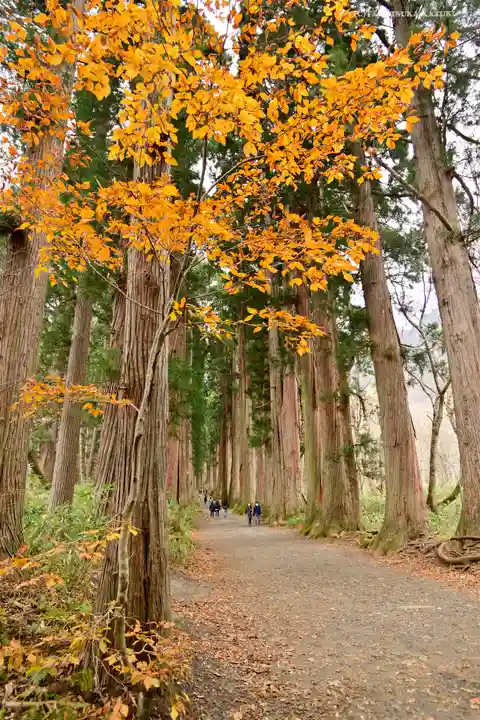 戸隠神社奥社の周辺