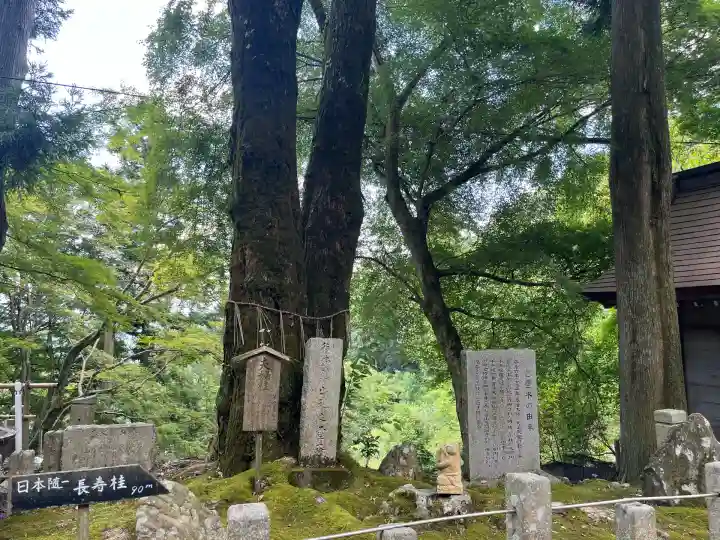 正法寺(滋賀県)