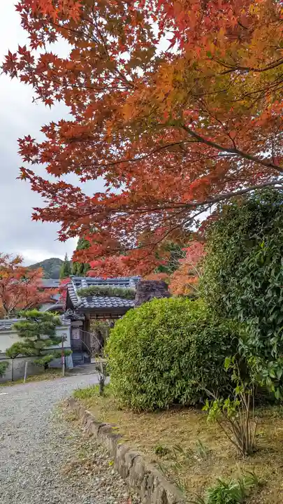 正法寺(京都府)