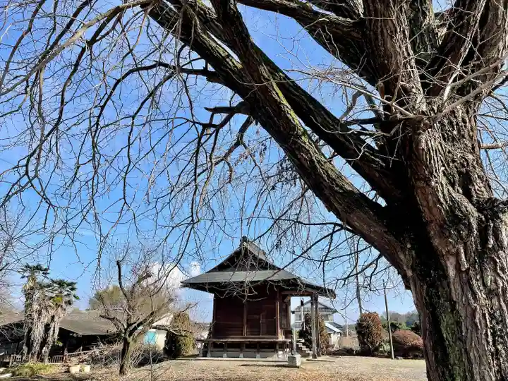古泉馬頭観世音(栃木県)