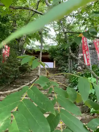 宝雲山大龍寺の山門