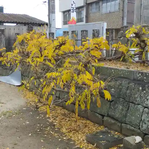 四王子神社(熊本県)