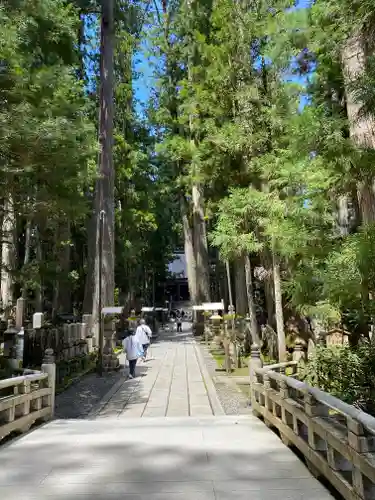 高野山金剛峯寺奥の院(和歌山県)