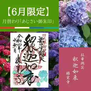 勝覚寺の御朱印 2024年06月01日(土)〜(2024年06月06日(木) 20時18分15秒投稿)