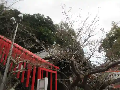 金剛宝寺（紀三井寺）(和歌山県)