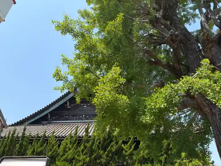 聖安寺の{uncategorized: "未分類", other: "その他", undefined: "問題あり", building: "その他建物", grave: "お墓", sacred_gate: "鳥居", guardian: "狛犬", statue: "像", buddha: "仏像", history: "歴史", nature: "自然", garden: "庭園", animal: "動物", pagoda: "塔", temizu: "手水舎", mountain_gate: "山門・神門", sanctuary: "本殿・本堂", subordinate: "末社・摂社", art: "芸術", scenery: "景色", jizo: "地蔵", ema: "絵馬", goshuin: "御朱印", omikuji: "おみくじ", items: "授与品その他", amulet: "お守り", goshuincho: "御朱印帳", eats: "食事", festival: "お祭り", votive_dance: "神楽", shichigosan: "七五三参", wedding: "結婚式", experience: "体験その他", initially: "初詣", around: "周辺", anti_infection: "感染症対策"}