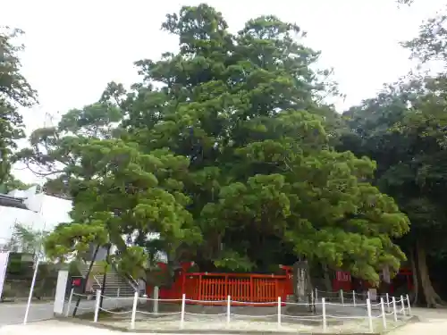 香椎宮(福岡県)
