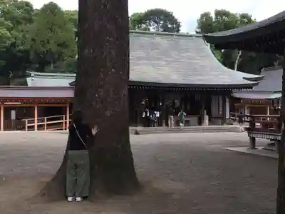 武蔵一宮氷川神社の本殿・本堂
