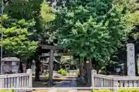 蓮根氷川神社(東京都)