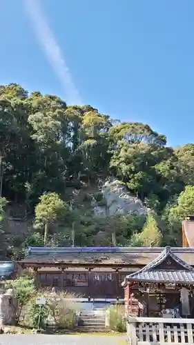 松尾大社の自然