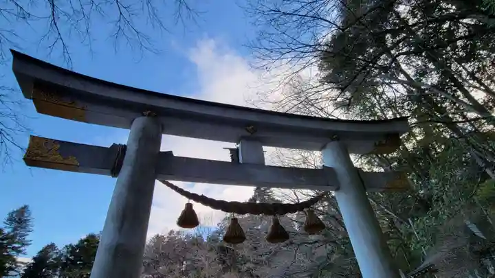 宝登山神社(埼玉県)
